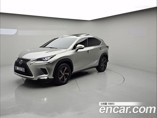 Lexus NX300h Executive, 2021 6