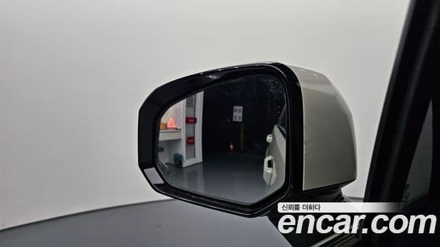 Hyundai Santa Fe (MX5) Calligraphy, 2024 17