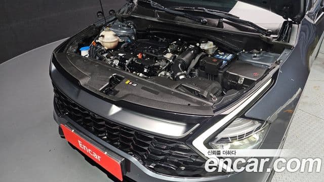 Kia Sportage 5세대 Signature, 2022 6