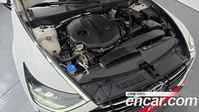 Hyundai Sonata (DN8) Premium Family, 2020 6