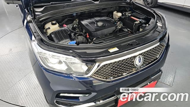 KG모빌리티(SsangYong) G4 Rexton Eurasia Edition, 2019 6