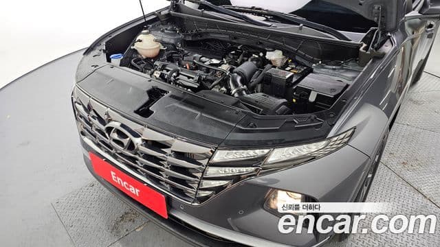 Hyundai Tucson (NX4) Premium, 2023 6