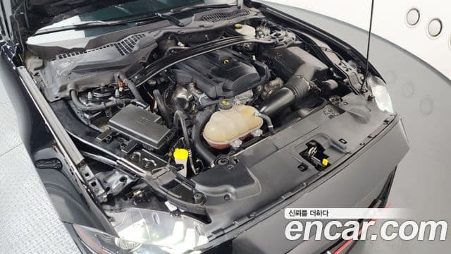 Ford Mustang кабриолет, 2019 6