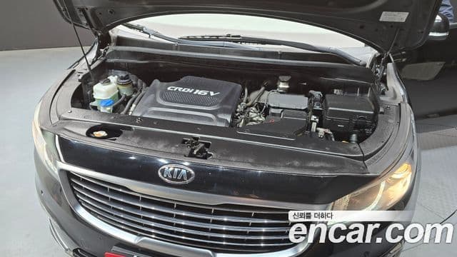 Kia All New Carnival Luxury, 2018 6