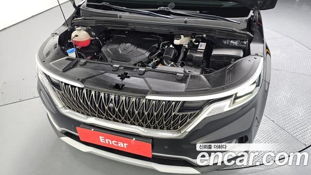 Kia Carnival 4세대 Prestige, 2023 6