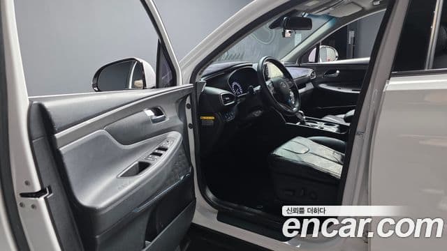 Hyundai Santa Fe TM Exclusive Special, 2019 10