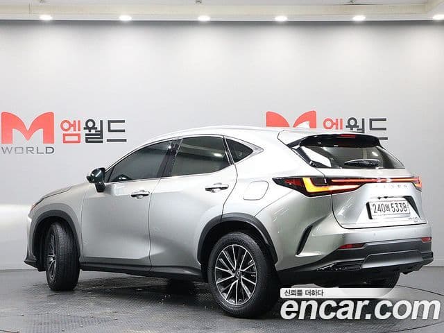 Lexus NX450h+ 2세대 Premium, 2022 все фото