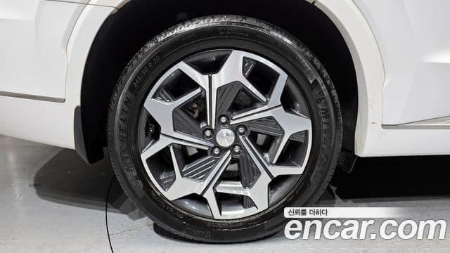 Hyundai Palisade Calligraphy, 2022 все фото