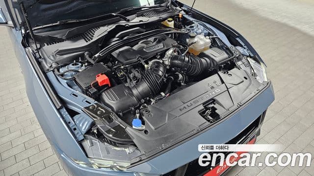 Ford Mustang 7세대 5.0 GT Premium кабриолет, 2024 6