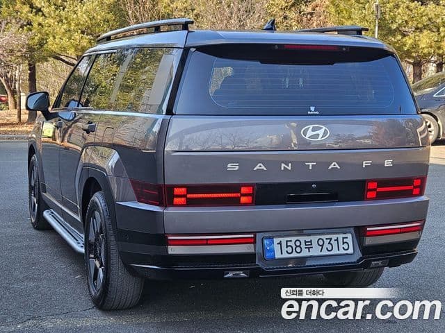 Hyundai Santa Fe (MX5) Calligraphy, 2024 все фото