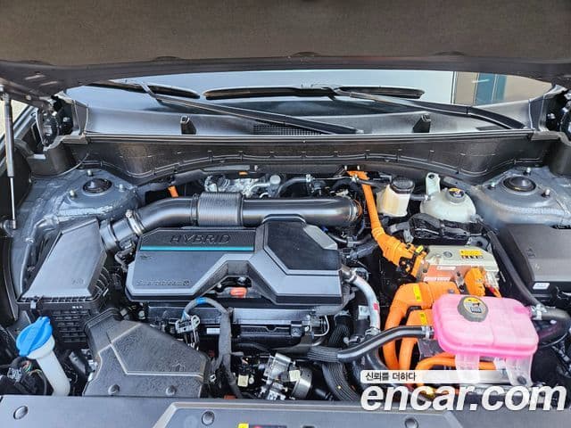 Hyundai Santa Fe (MX5) Calligraphy, 2024 16