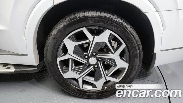 Hyundai Palisade Calligraphy, 2021 все фото