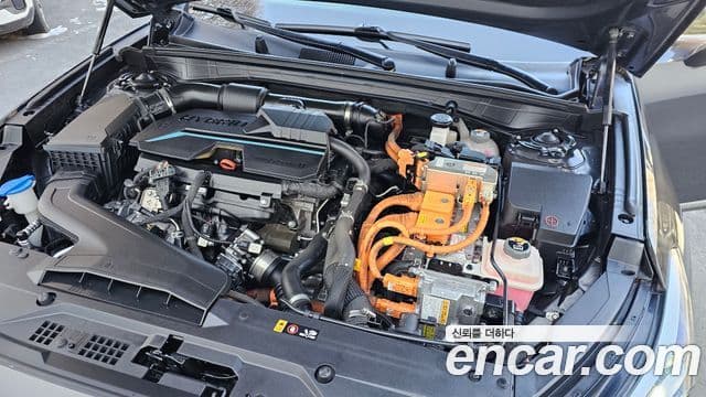 Kia K8 гибрид Noblesse, 2022 6