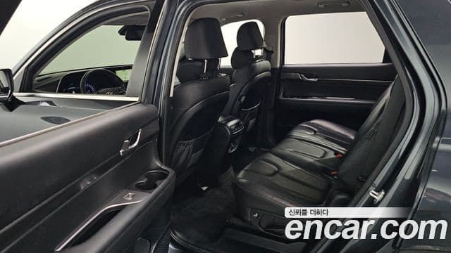 Hyundai Palisade Prestige, 2019 12