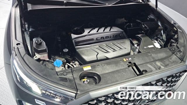 Hyundai Palisade Calligraphy, 2021 6