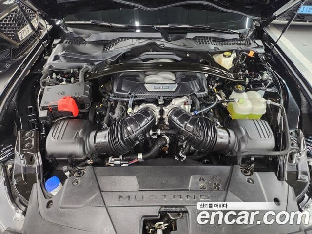 Ford Mustang 7세대 5.0 GT Premium кабриолет, 2024 6