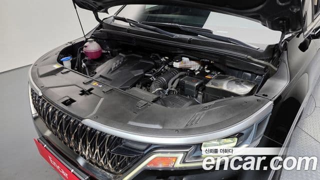 Kia Carnival 4세대 Prestige, 2023 6
