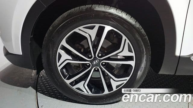 Hyundai Santa Fe TM Exclusive, 2020 все фото