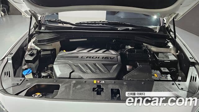 Hyundai Santa Fe TM Exclusive, 2020 6