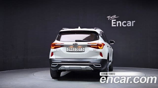 Kia Seltos Noblesse, 2020 4