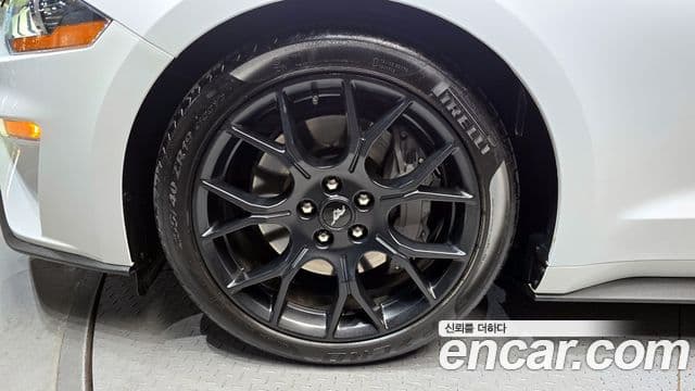 Ford Mustang купе, 2021 все фото