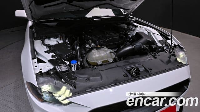 Ford Mustang купе, 2021 6