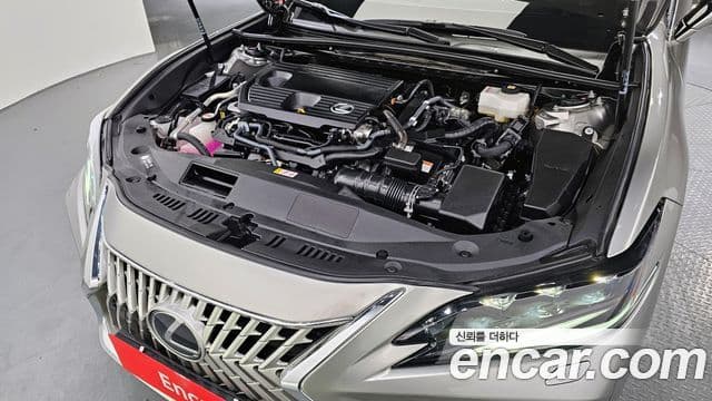 Lexus ES300h 7세대 Executive, 2026 6