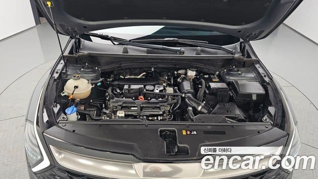Kia Sportage 5세대 Signature, 2022 6
