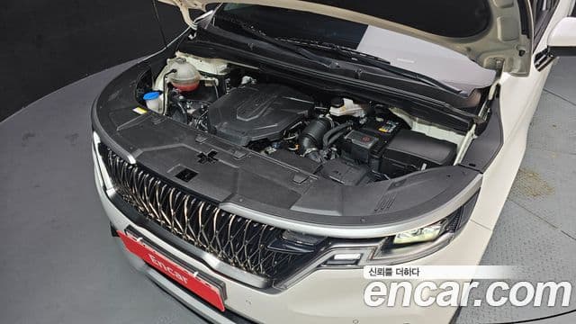 Kia Carnival 4세대 Prestige, 2023 6