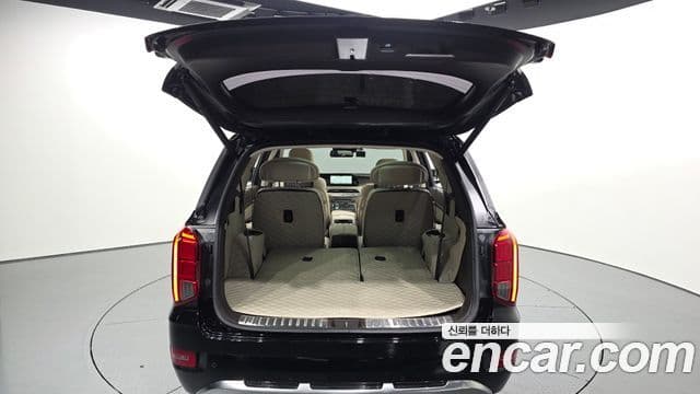 Hyundai Palisade VIP, 2022 20