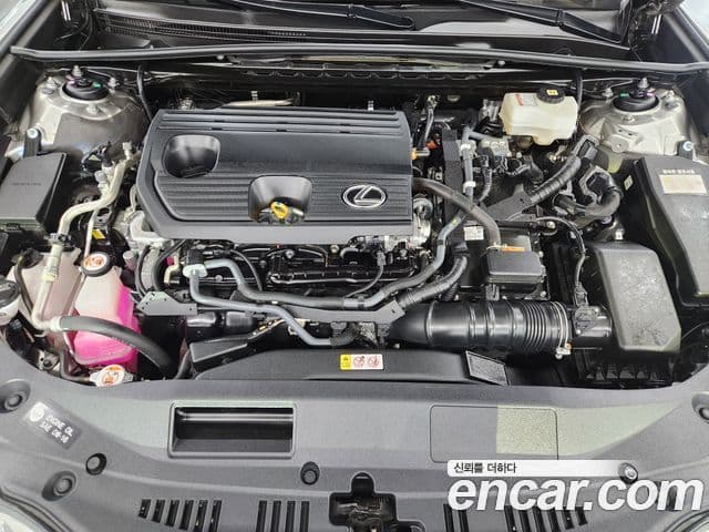 Lexus ES300h 7세대 Luxury Plus, 2023 6