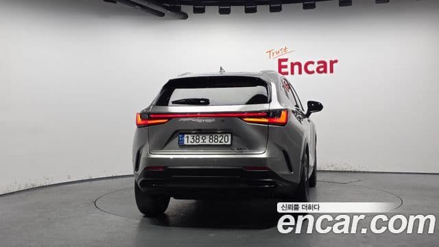 Lexus NX350h 2세대 Premium, 2025 4