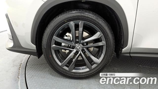 Lexus NX350h 2세대 Premium, 2025 все фото