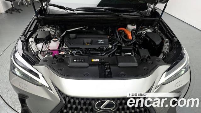 Lexus NX350h 2세대 Premium, 2025 6