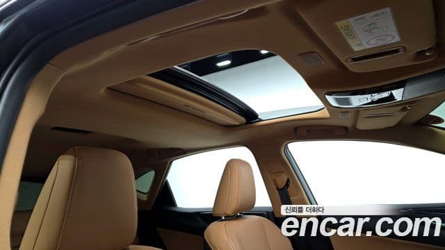 Lexus NX350h 2세대 Premium, 2025 17