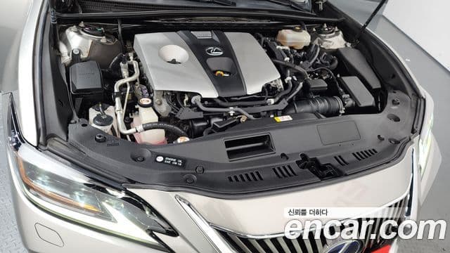 Lexus ES300h 7세대 Executive, 2019 6