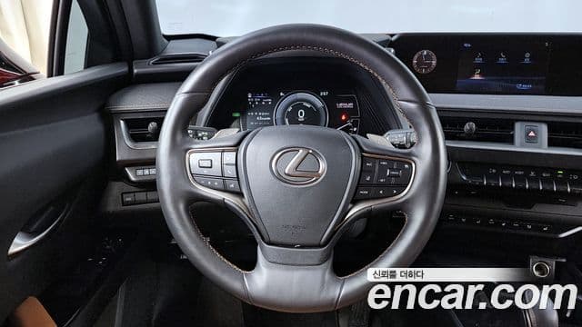 Lexus UX300e, 2022 13