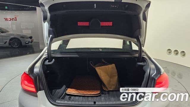 BMW 5시리즈 (G30) 520d xDrive M Sport Plus, 2017 20