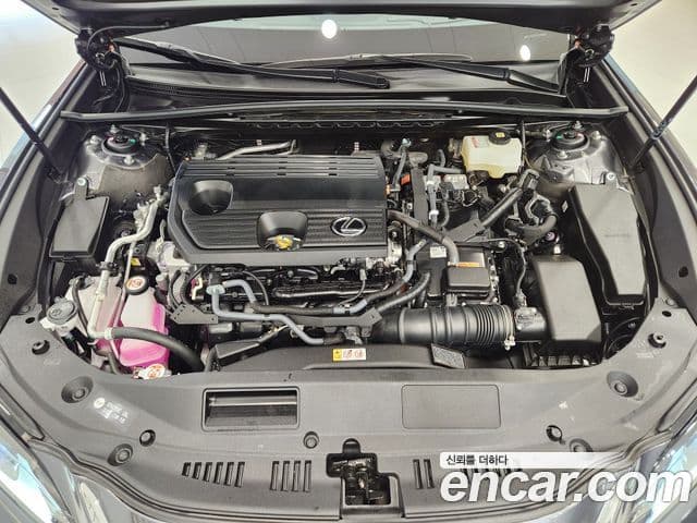 Lexus ES300h 7세대 Luxury Plus, 2026 7