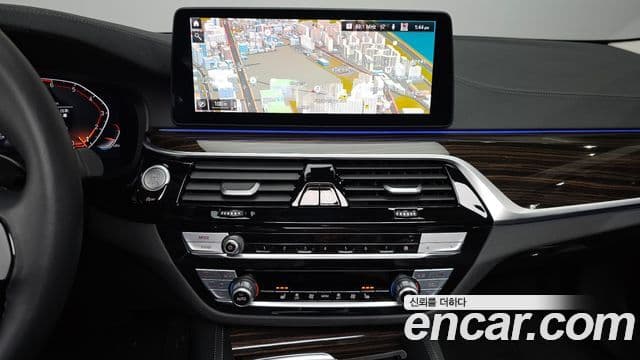 BMW 5시리즈 (G30) Luxury, 2023 14