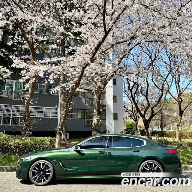 BMW 8시리즈 (G15) M850i xDrive Gran Coupe, 2024 7