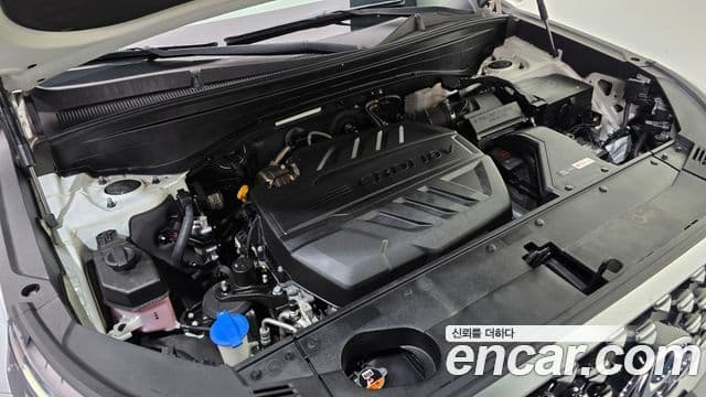 Hyundai Palisade VIP, 2021 6