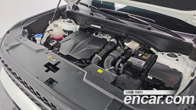 Hyundai Santa Fe (MX5) Calligraphy, 2024 6