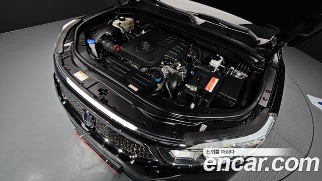 KG모빌리티(SsangYong) G4 Rexton Eurasia Edition, 2018 6