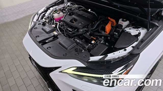 Lexus NX450h+ 2세대 F-Sport, 2023 6