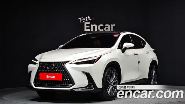 Lexus NX350h 2세대 Luxury, 2025 1