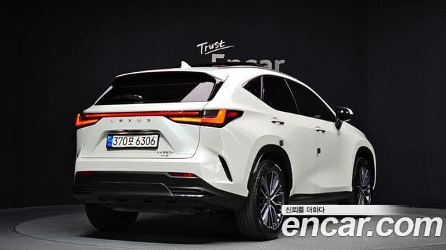 Lexus NX350h 2세대 Luxury, 2025 2