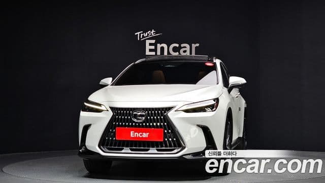 Lexus NX350h 2세대 Luxury, 2025 3