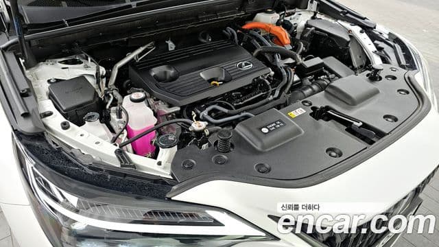 Lexus NX350h 2세대 Luxury, 2025 6