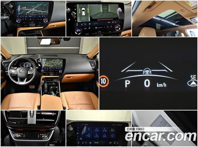 Lexus NX350h 2세대 Luxury, 2025 19